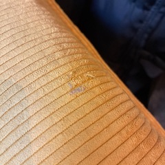 【格安】セルタン 2人掛けソファ（イエロー/コーデュロイ）練馬区羽沢の画像