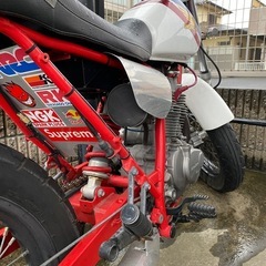 HONDA FTR223 トリコロールカラー　ホンダの画像