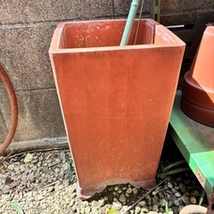 鉢植え、プランターの画像