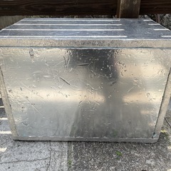 冷やし虫家ライト　の画像