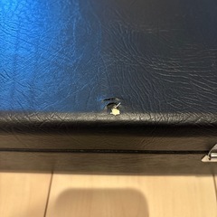 エフェクターケースの画像