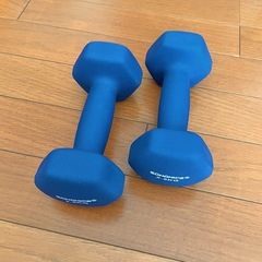 SONGMICS  2.5kgダンベルの画像