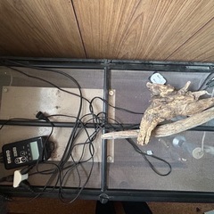 爬虫類用水槽 ゲージの画像