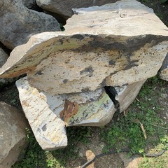 庭石・ロックガーデン　② 無料の画像