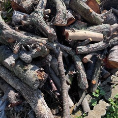 【無料/0円】薪・焚き火・BBQに！原木（サクラ・カシ等）大量差し上げます【積込・引取限定】の画像