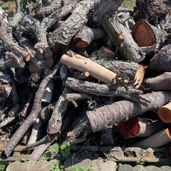 【無料/0円】薪・焚き火・BBQに！原木（サクラ・カシ等）大量差し上げます【積込・引取限定】の画像