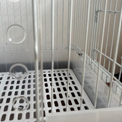 うさぎ ケージの画像