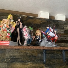 色々なフィギア　それぞれの画像