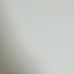 IKEA ディスクセット　29日までの画像