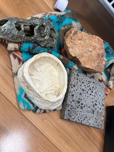 総額7万超】爬虫類飼育フルセット！パンテオン9045大型ケージ　高性能サーモ2種