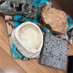 総額7万超】爬虫類飼育フルセット！パンテオン9045大型ケージ　高性能サーモ2種の画像