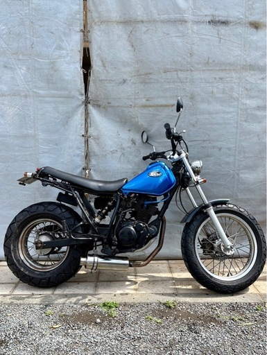 実動 【YAMAHA TW200-E 】