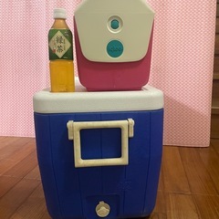 クーラーBOX コールマン　容量45L
の画像