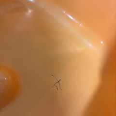 ジャングルジムの画像