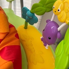 Fisher Prise レインフォレスト　ジャンパルーの画像