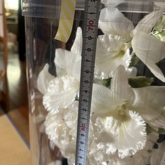 ブーケ　カトレアの画像