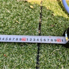 無償譲渡・ボックスウッド 5本　洋風垣根　H1m×W2.3mの画像