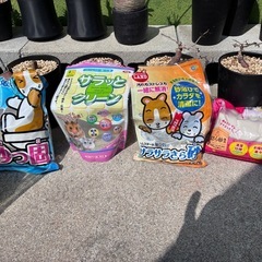 ハムスター飼育セットの画像