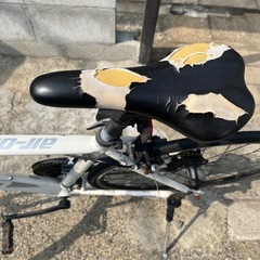 エアーオンクロスバイクの画像