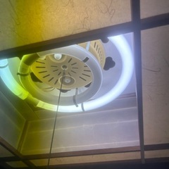 和風　電気　　かさの画像