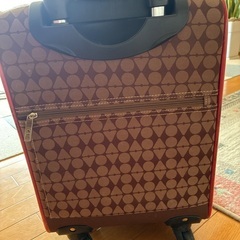 機内持込用　キャリアケースの画像