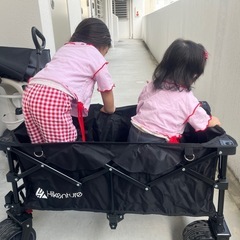 【美品】HIKENTURE キャリーワゴン（大容量135L・耐荷重150kg）の画像