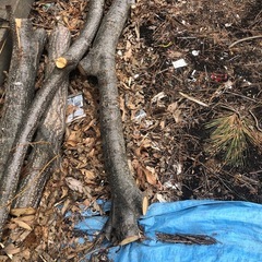 無料　
薪　焚き木　キャンプ　DIY の画像