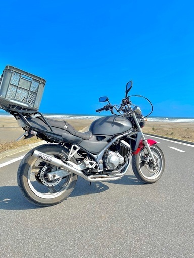 カワサキ、バリオス250