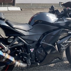 NINJA250R 現社確認必須 