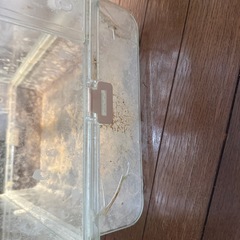飼育ケース　ジャンク　の画像
