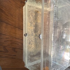 飼育ケース　ジャンク　の画像