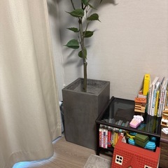 大型植木鉢の画像