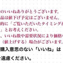 レディースレーススカートミニタイトLサイズの画像