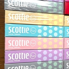 優しいスコッティ日本製フェイシャルティッシュ５箱×４セット★花粉症クレシアティッシュペーパーの画像
