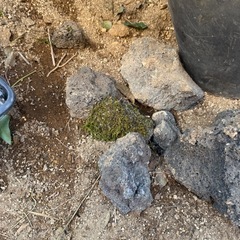 ☆超希少☆富士山の溶岩石の画像