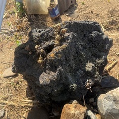 ☆超希少☆富士山の溶岩石の画像