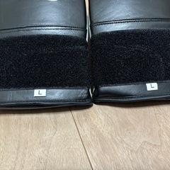 ボデーメーカーパンチンググローブ
の画像