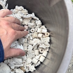 サンゴ、サンゴカケラ、ろ材、サンゴ砂、小石の画像