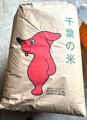 令和7年 千葉県産 コシヒカリ　30KG 玄米