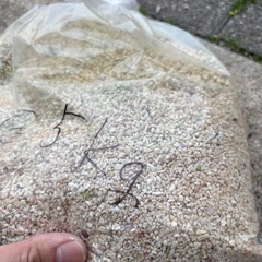 サンゴ砂 5キロの画像