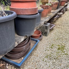 植木鉢・盆栽鉢大きさ色々の画像