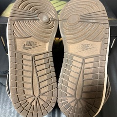 27cm Nike Air Jordan1 Palominoの画像