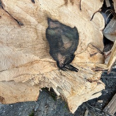 銘木　黒柿の画像