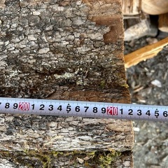 銘木　黒柿の画像