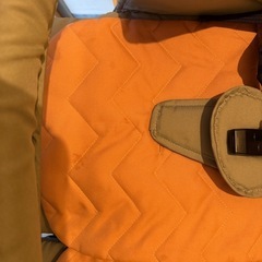 双子･年子ベビーカーの画像