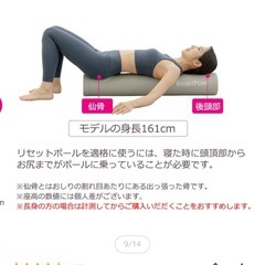 【未使用品】【定価¥3,980】【高レビュー】ストレッチポール　ネイビーの画像