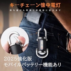 防水キーホルダー型ライト【新品】の画像