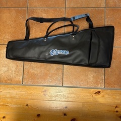 Pignose PGG-100 ピグノーズ　ギター
の画像