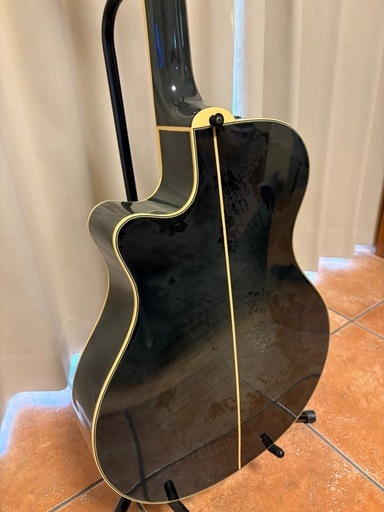 YAMAHA APX-10
