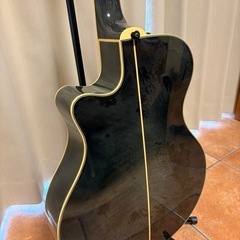 YAMAHA APX-10
の画像